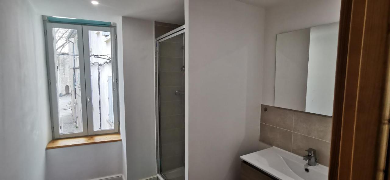 Appartements Et Studio Renoves En 2022, Intra Muros Avignon Extérieur photo