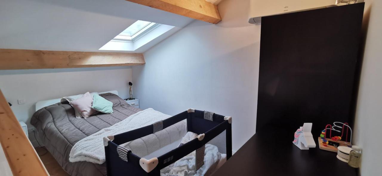 Appartements Et Studio Renoves En 2022, Intra Muros Avignon Extérieur photo